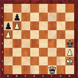 http://www.thechessdrum.net/chessacademy/diagrams/Board_check5.jpg