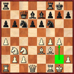 In Kasimjanov-Polgar, white plays 13.g4 and black already has problems.
