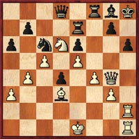 GM Ivan Sokolov - GM Nigel Short