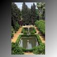 These are floral gardens in Cordoba. The Moors built hundreds of these throughout their nearly 800-year reign.