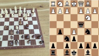 The Anatomy of Carlsen-Niemann cheating controversy - The Chess Drum