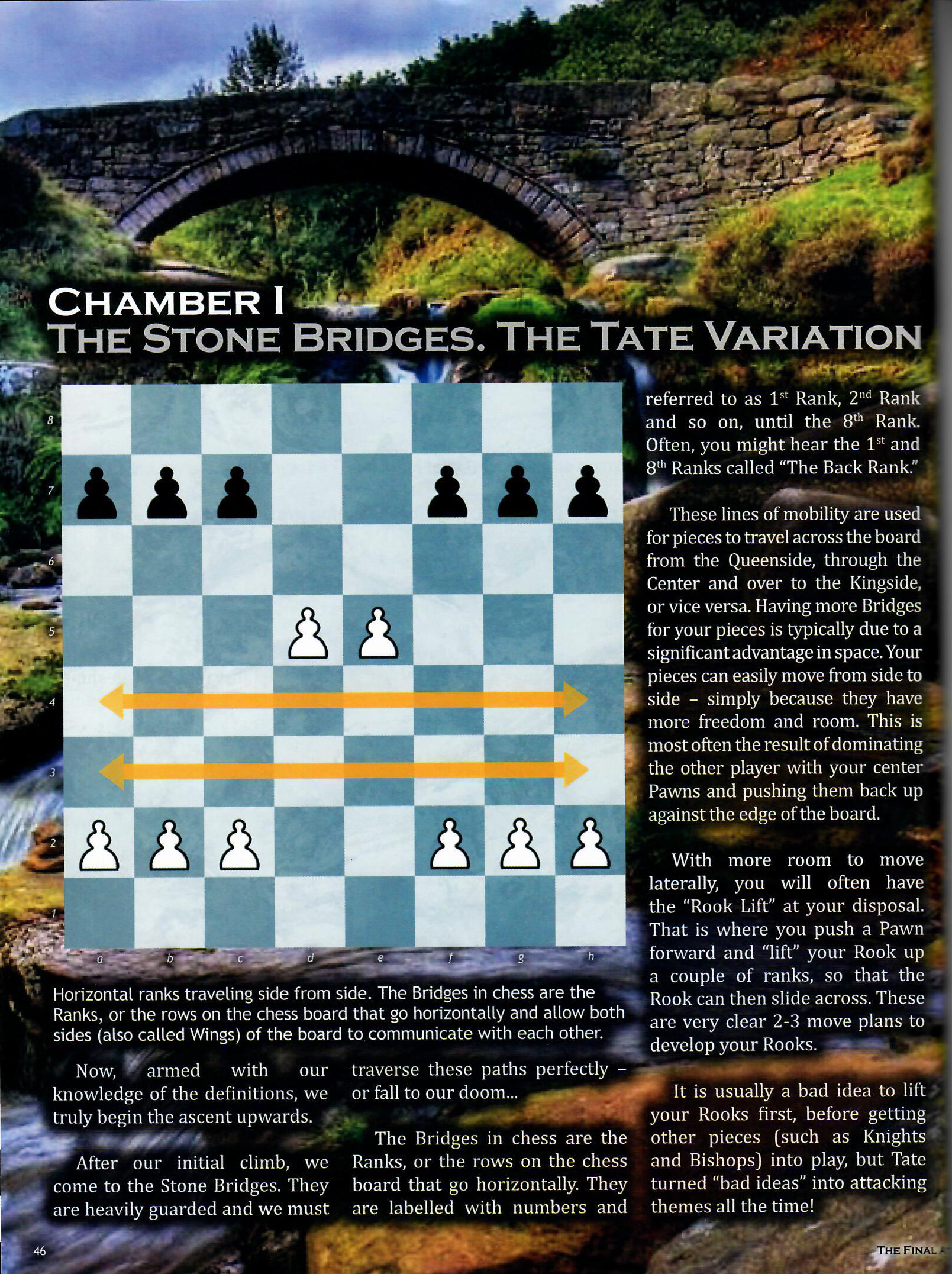 Emory Tate  Chess Musings