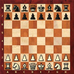 Built a chess board! : r/chess