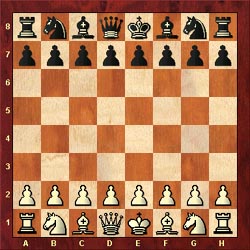 Chess Pieces and Board squares