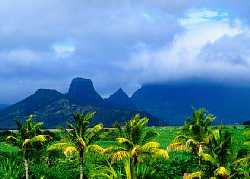 Mauritius Chess Federation