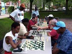 Players once again congregate at Harper Square, a once-popular chess “watering hole” in Chicago.
