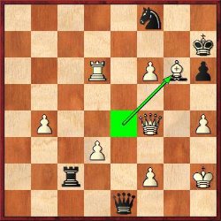 Adu played 46.Bxg6+! but after 46Kxg6 47.Qg4+ Kf7 he erred with 48.Qh5+?? and resigned immediately due to the simple 48Ng6. White mates with 48.Qg7+ Ke8 49.f7+ Ke7 50.Qf6#.