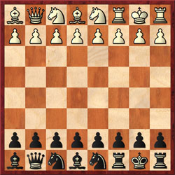 Fischer Random chess