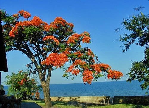 Malawi, https://www.africaguide.com (Vera Cheal)