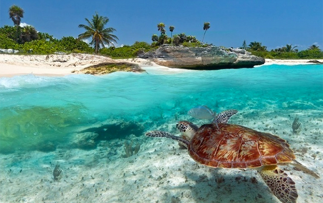 Zanzibar