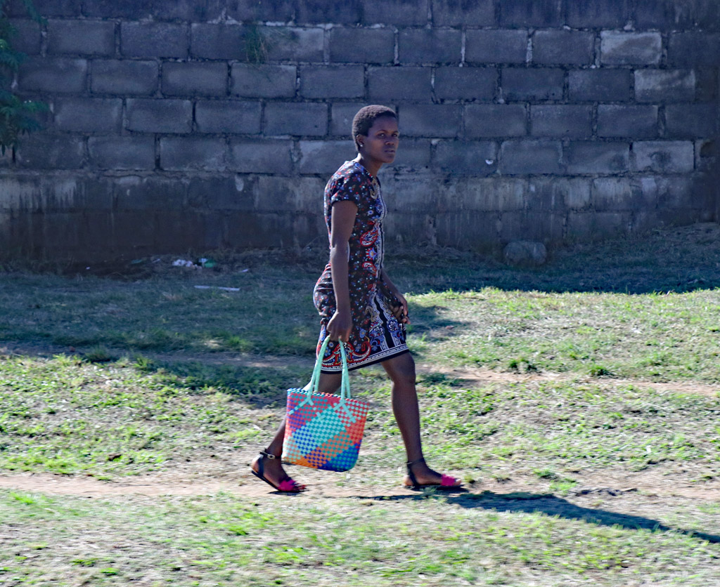 Swazi lady shopping. Photo by Daaim Shabazz.