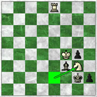 On 91.Ng3! if 91...h1(Q)? loses to 92.Nxh1 Kxh1 93.Kg3! when mate is unstoppable.