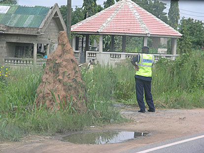 Termite mound and Ghanaian police... both can pester you. Coming back from Cape Coast and heading to Tema, we were stopped several times. We had to give 