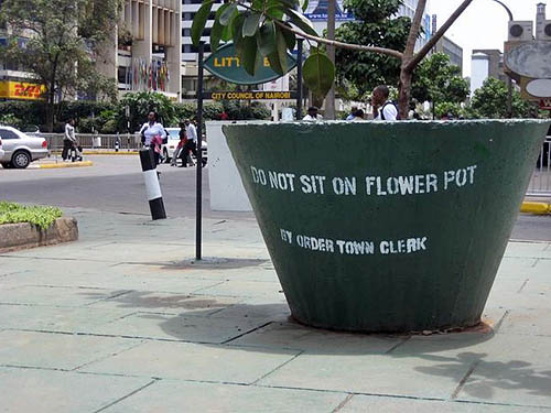 Flower Pot.