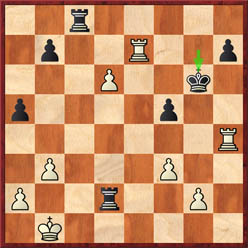 Anand-Gelfand (game 3 after 33...Kg6)